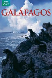 دانلود سریال Galapagos