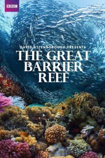 دانلود سریال Great Barrier Reef with David Attenborough