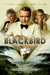 دانلود فیلم Blackbird 2022