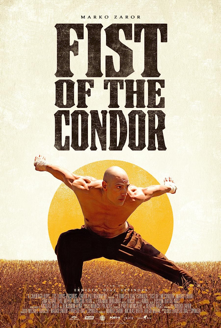 دانلود فیلم The Fist of the Condor 2023