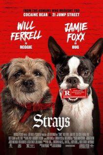 دانلود فیلم Strays 2023