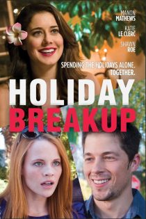 دانلود فیلم Holiday Breakup 2016