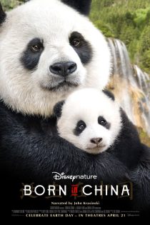 دانلود فیلم Born in China 2016