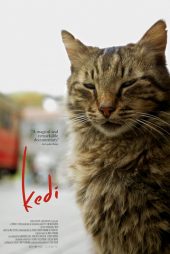 دانلود فیلم Kedi 2016