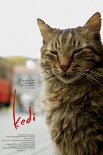 دانلود فیلم Kedi 2016