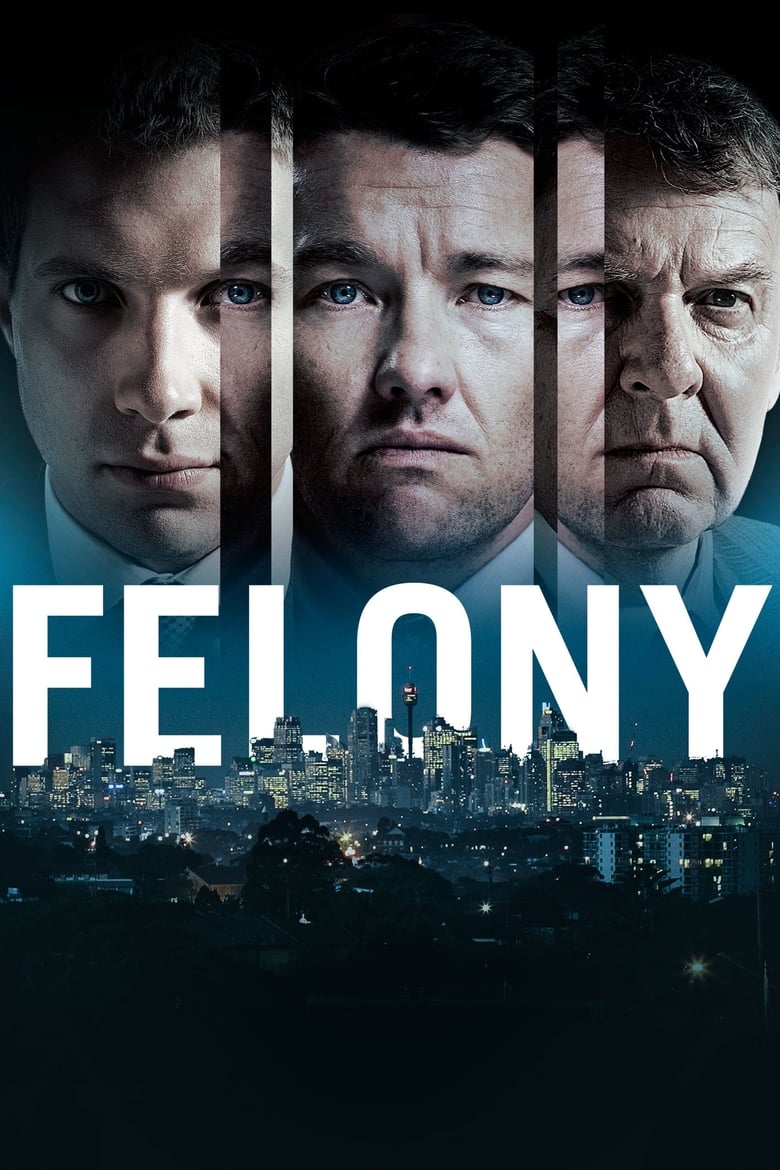 دانلود فیلم Felony 2013